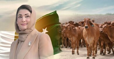 Chief Minister Maryam Nawaz signs a major MoU with a Chinese company to export one million livestock from Punjab.