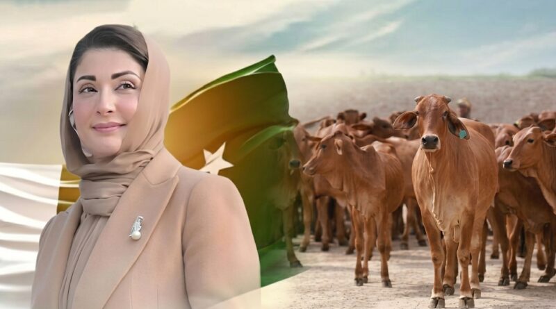 Chief Minister Maryam Nawaz signs a major MoU with a Chinese company to export one million livestock from Punjab.