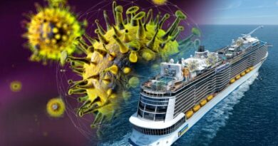 The Silent Stowaway: Investigating the Hantavirus Outbreak at Sea